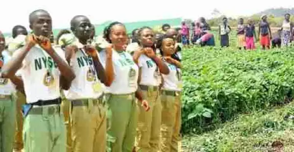 NYSC Members Now To Be Posted To Farms — Coordinator